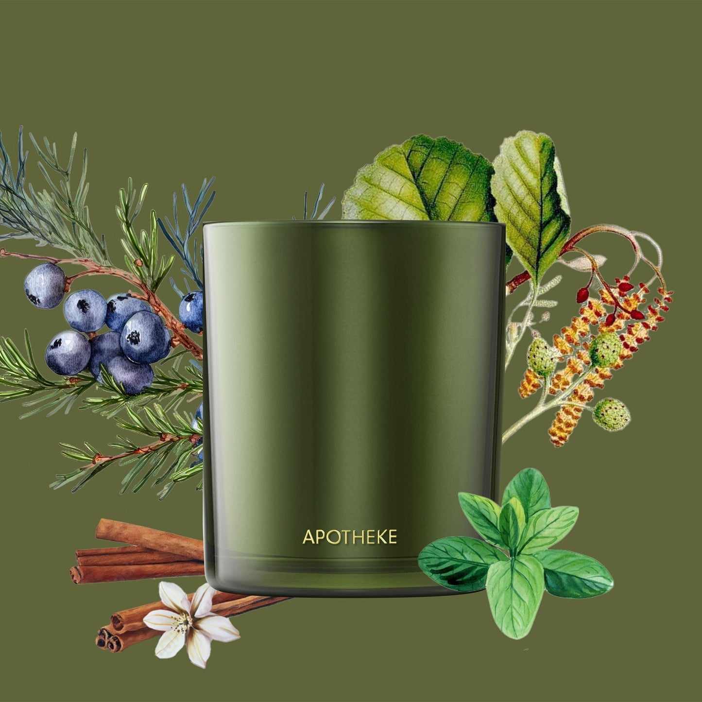 Juniper Birch Candle