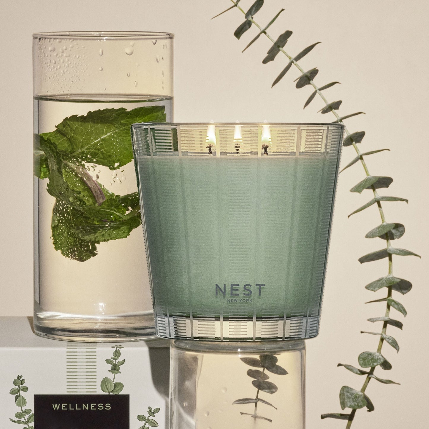 Wild Mint & Eucalyptus Candle