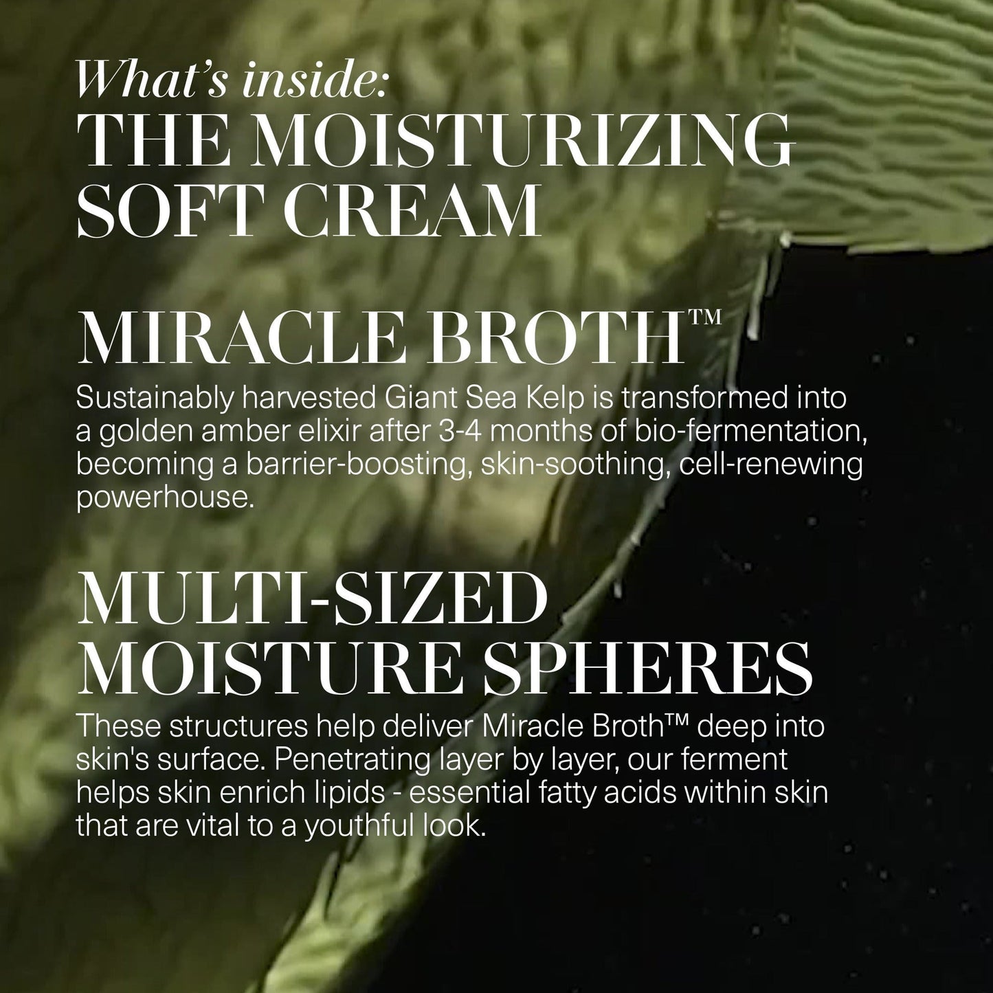 The Moisturizing Soft Cream Duet Mother's Day Gift Set (Limited Edition)