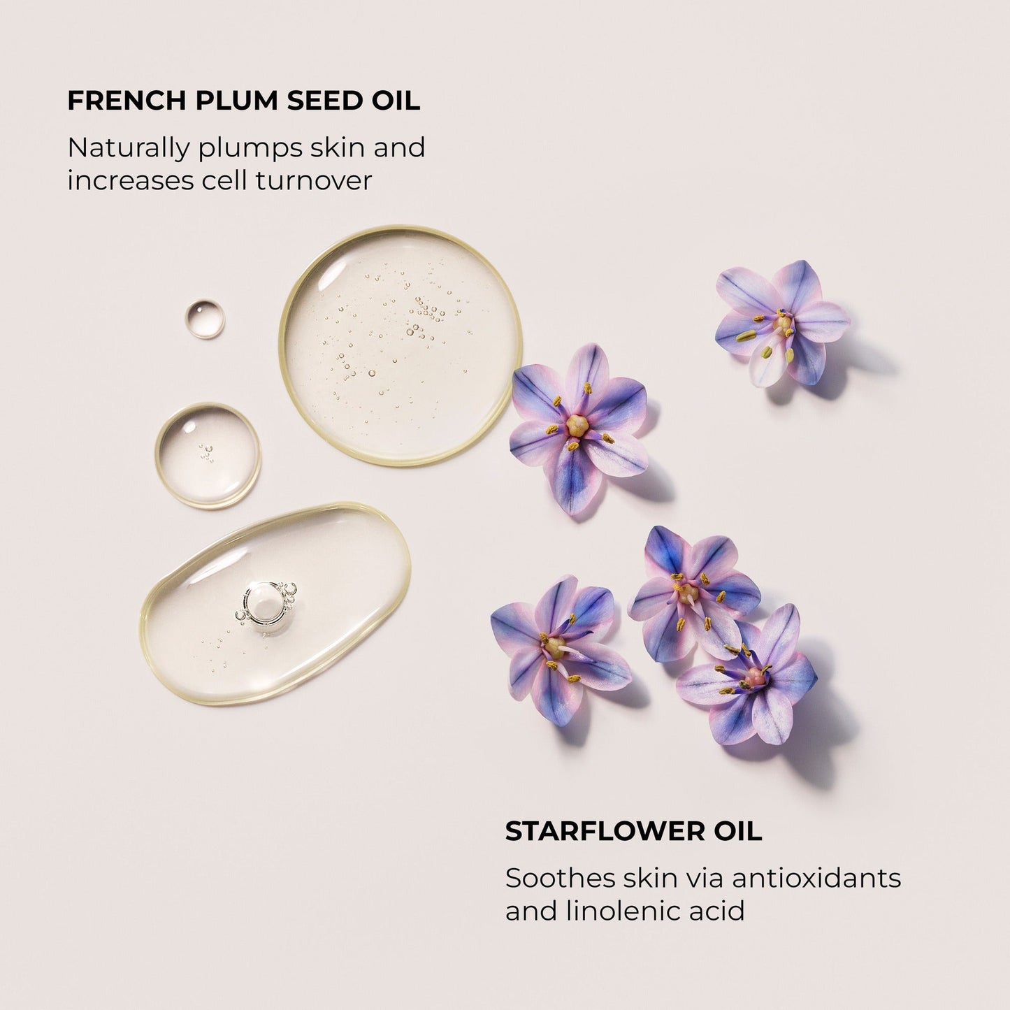 Néroli du Sud Aromatic Bath and Body Oil
