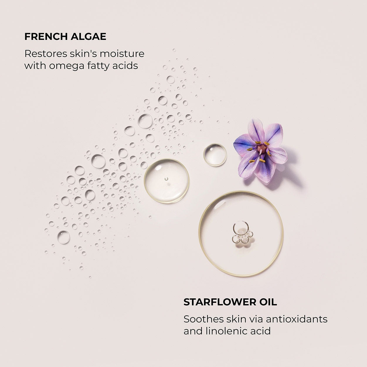Néroli du Sud Serum Body Cream