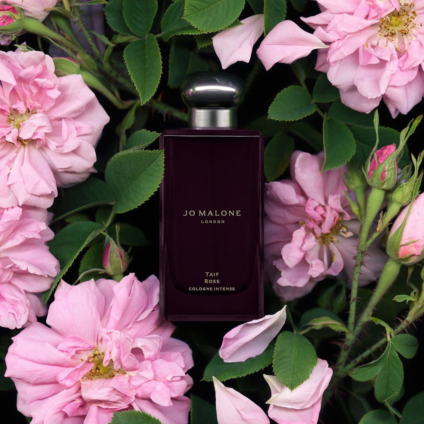 Taif Rose Cologne Intense
