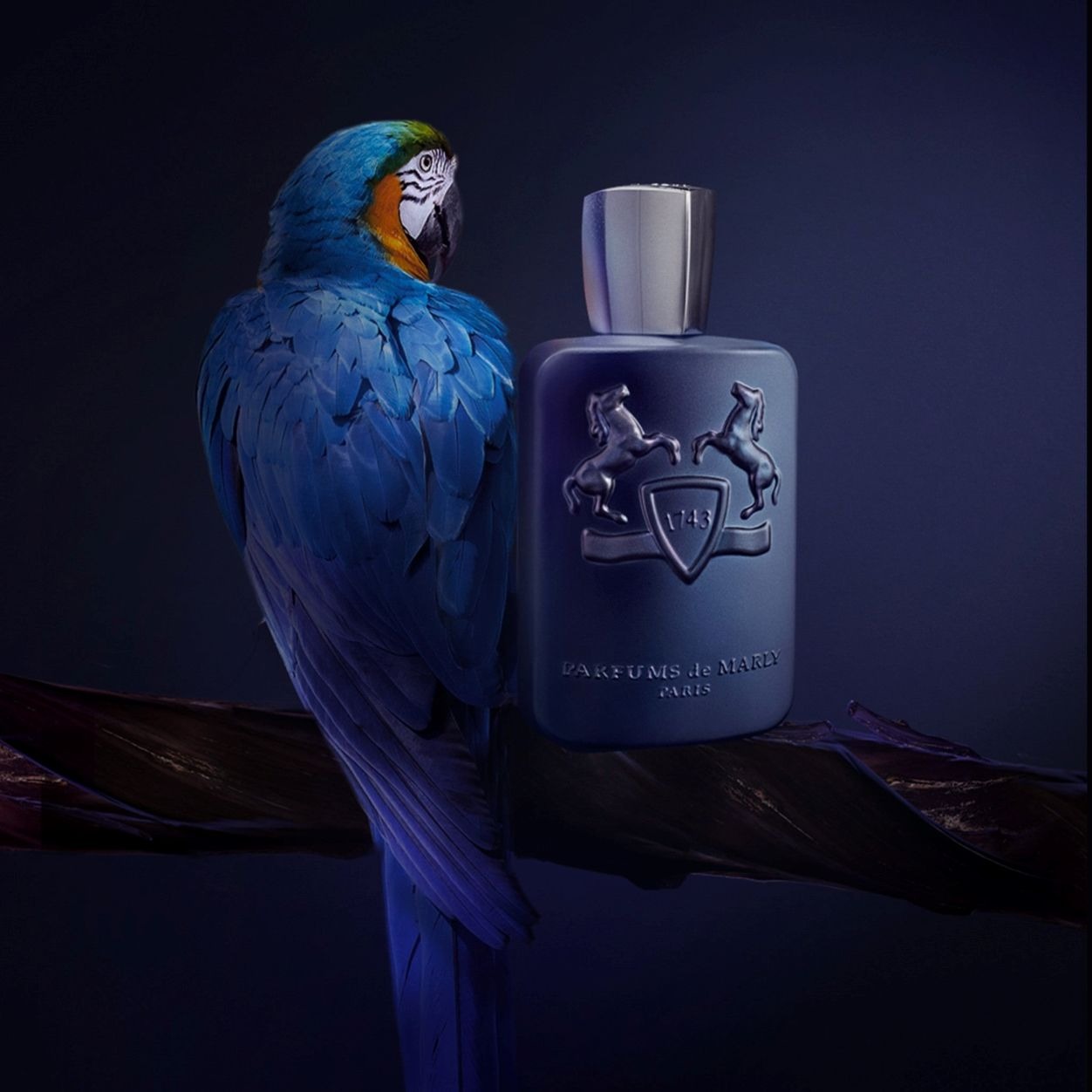 Layton Eau de Parfum