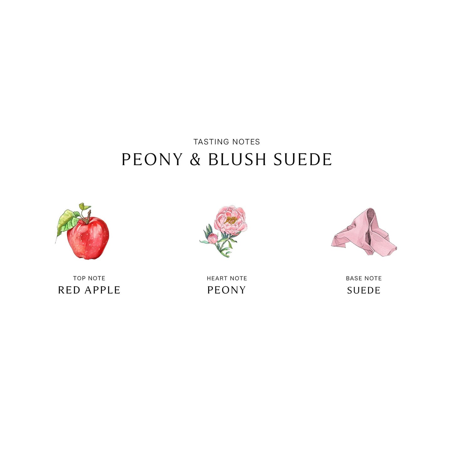 Peony and Blush Suede Cologne