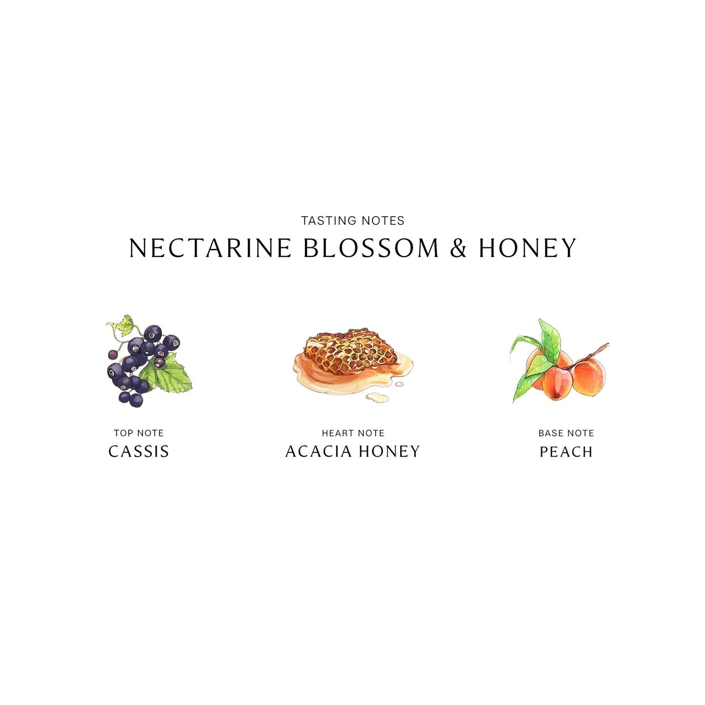 Nectarine Blossom and Honey Cologne