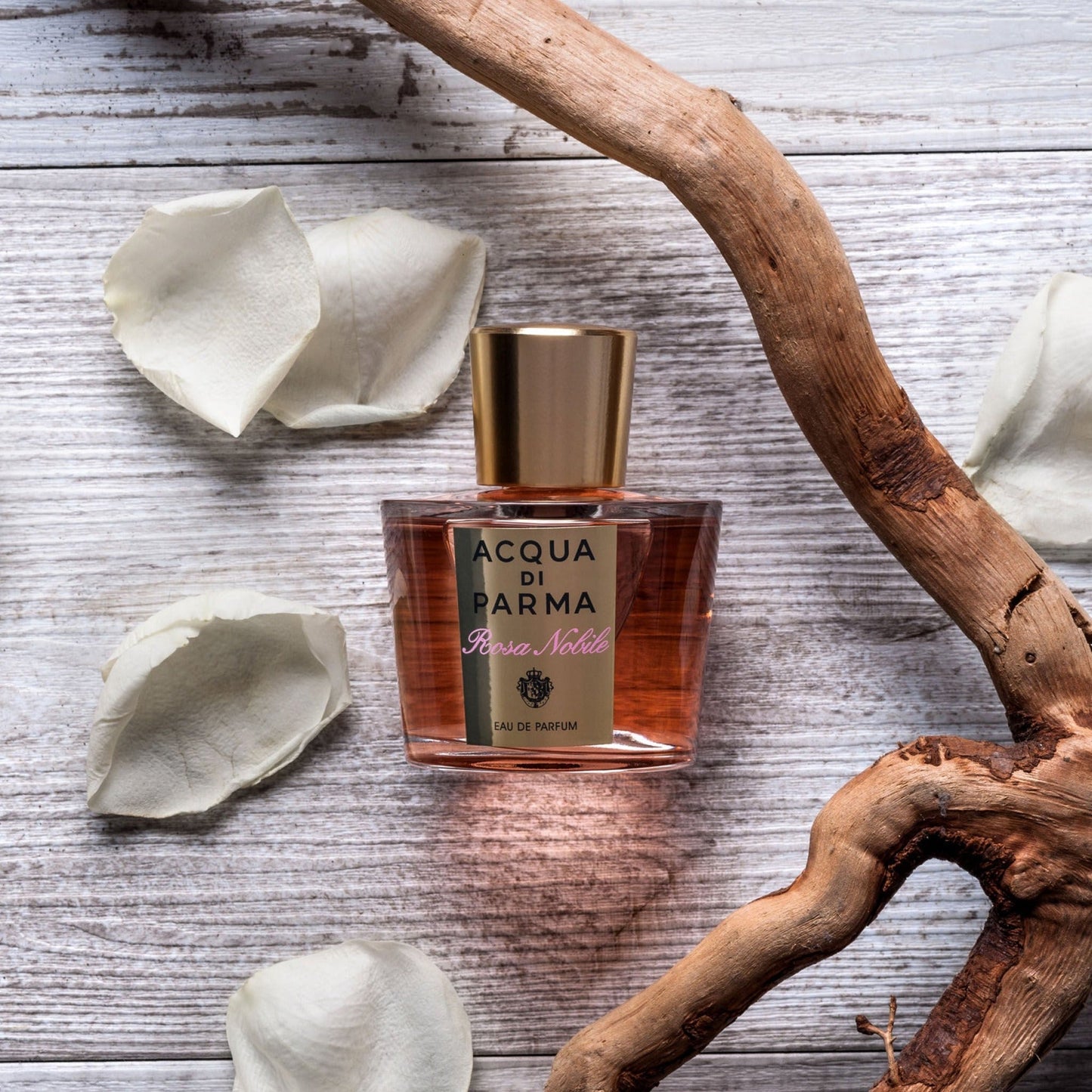 Rosa Nobile Eau de Parfum