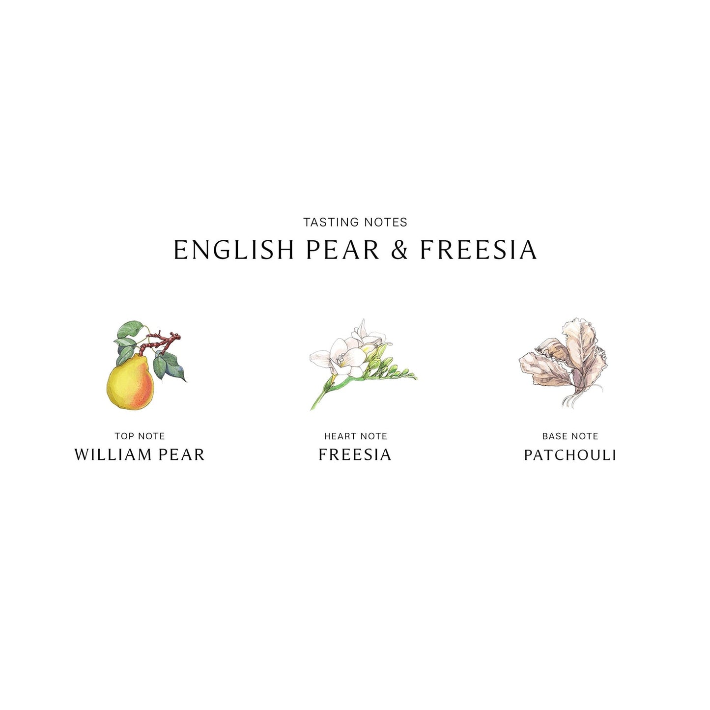 English Pear and Freesia Cologne