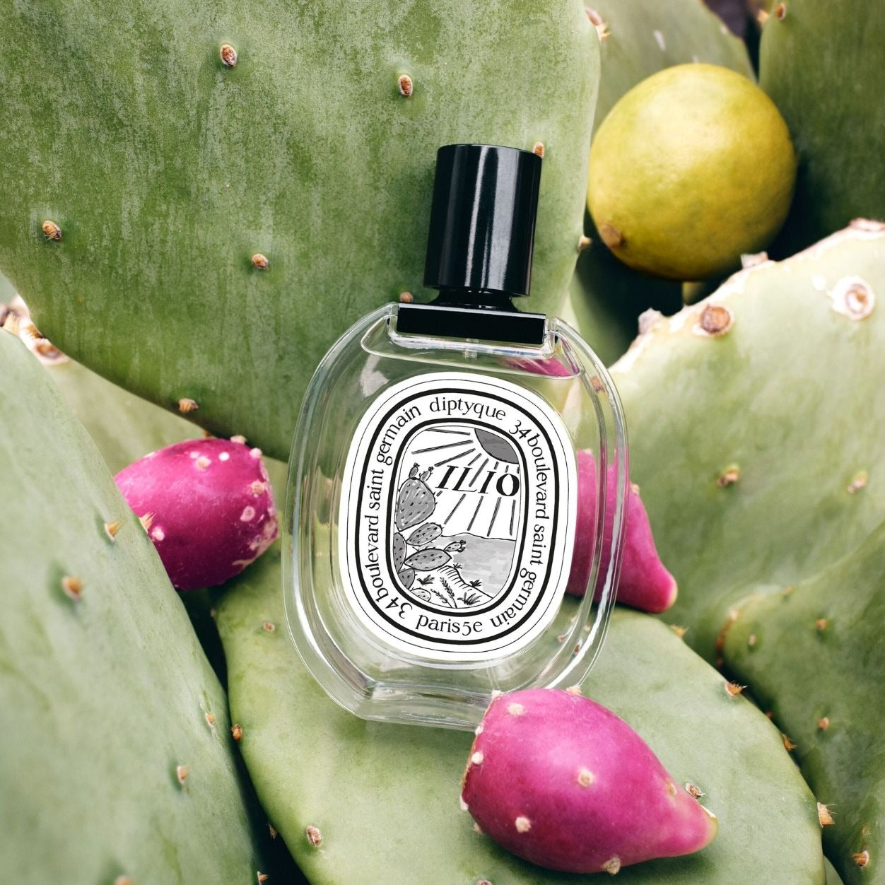 Ilio Eau De Toilette