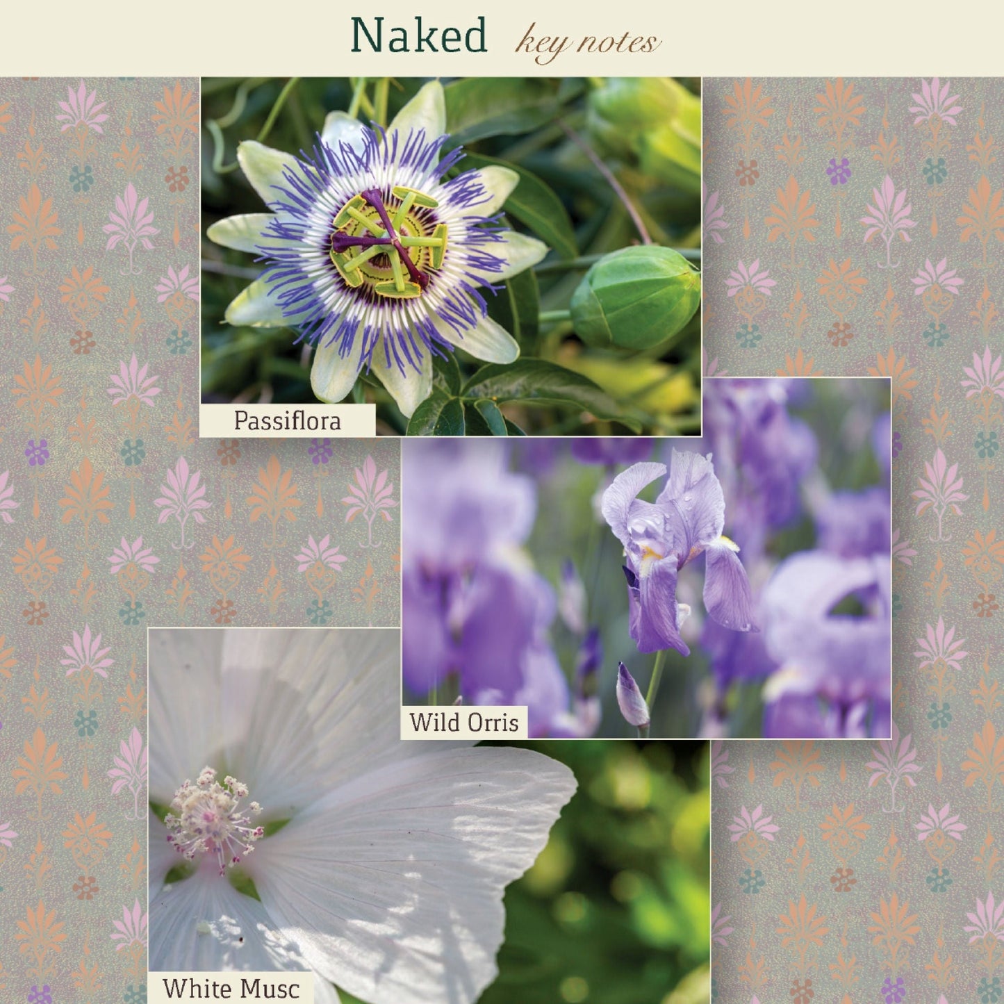 Naked Eau de Parfum