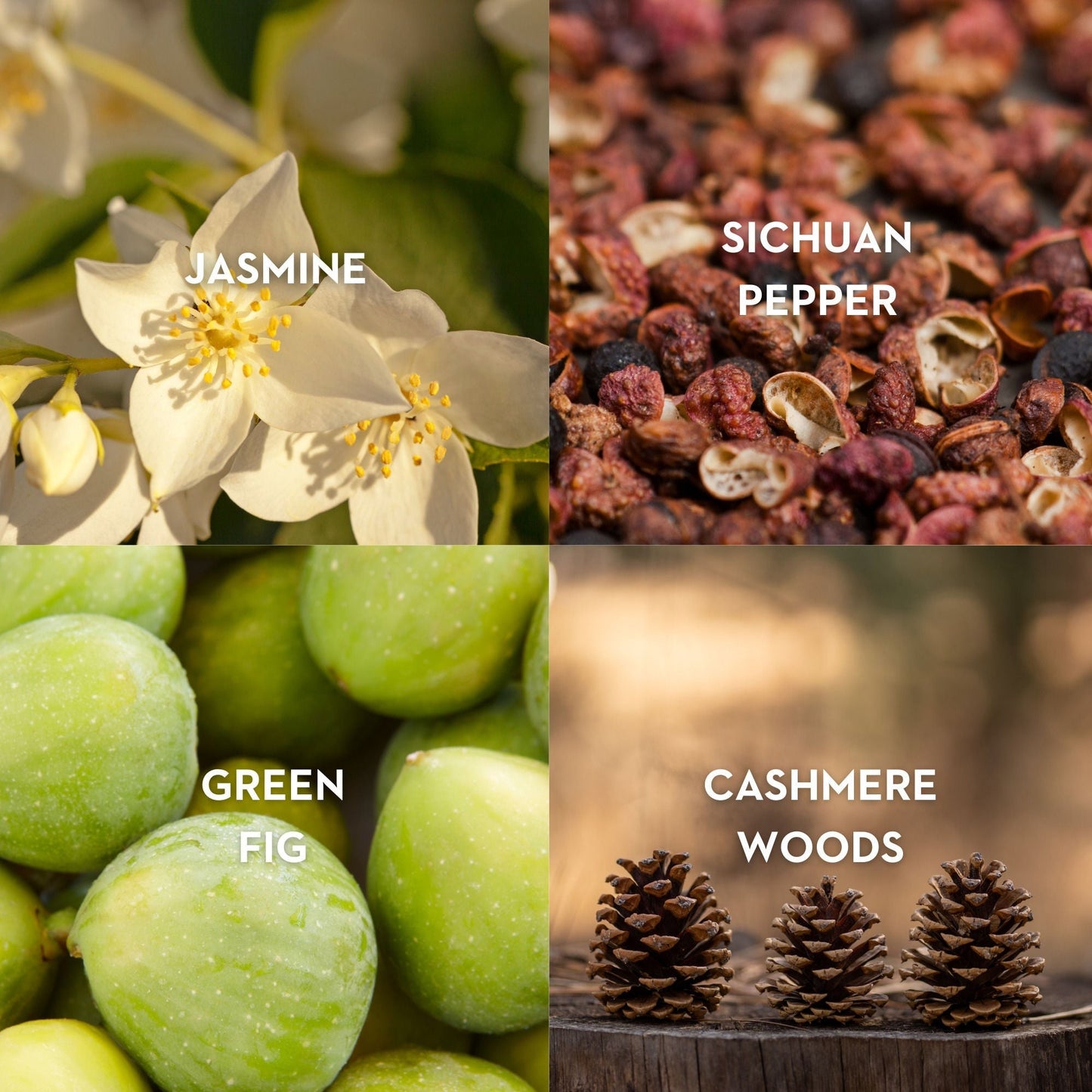 Purple Fig Eau de Parfum