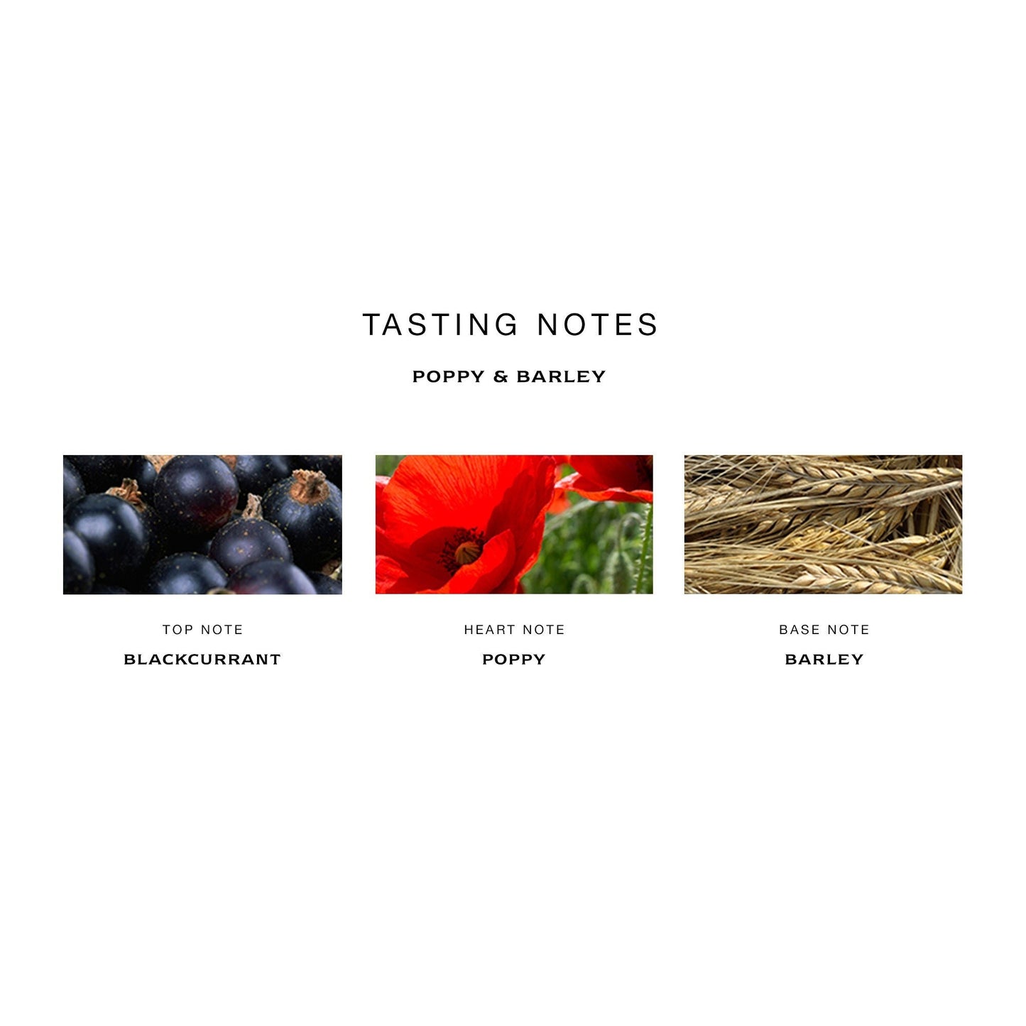 Poppy and Barley Cologne
