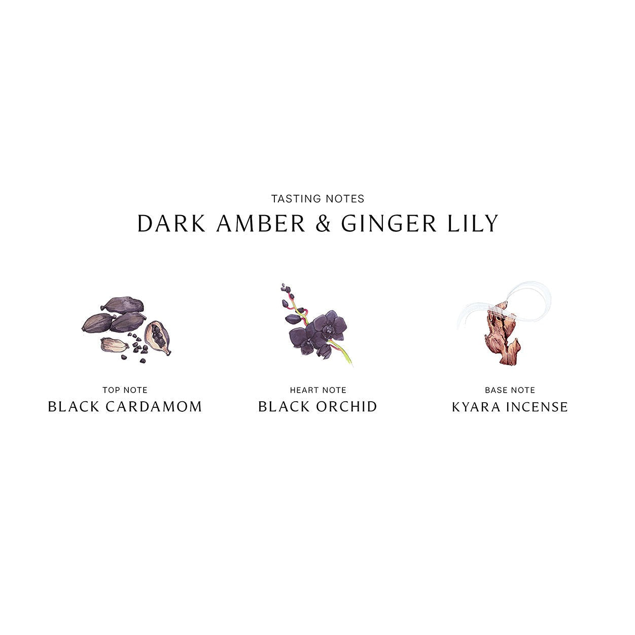 Dark Amber and Ginger Lily Cologne Intense