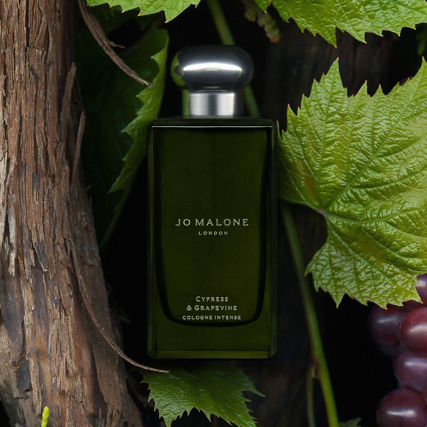 Cypress and Grapevine Cologne Intense