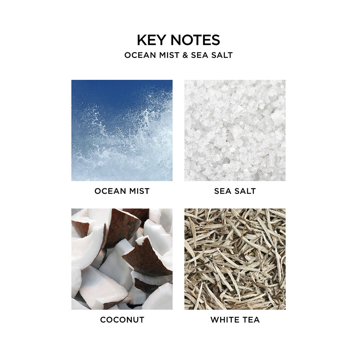 Ocean Mist and Sea Salt Candle