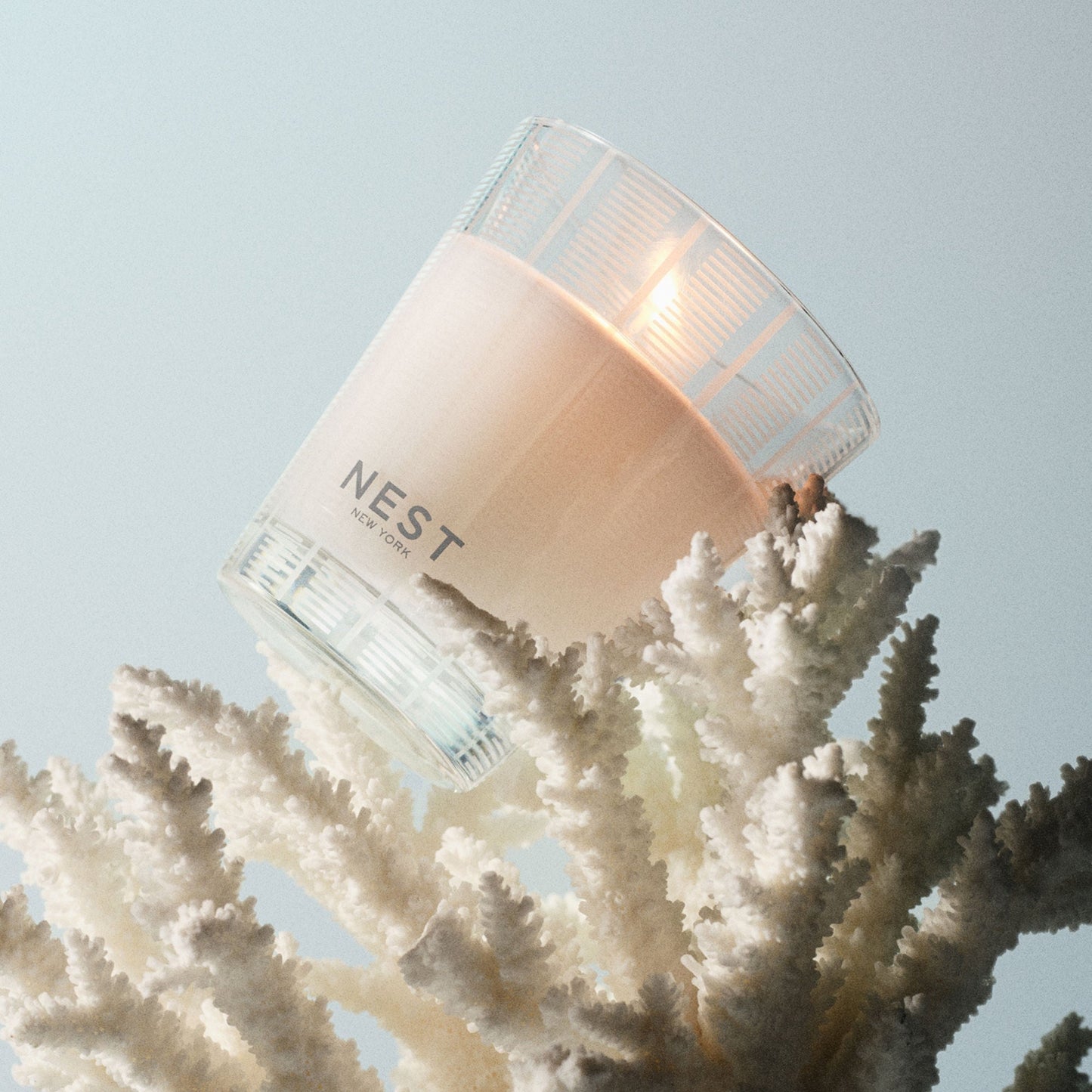 Ocean Mist and Sea Salt Candle