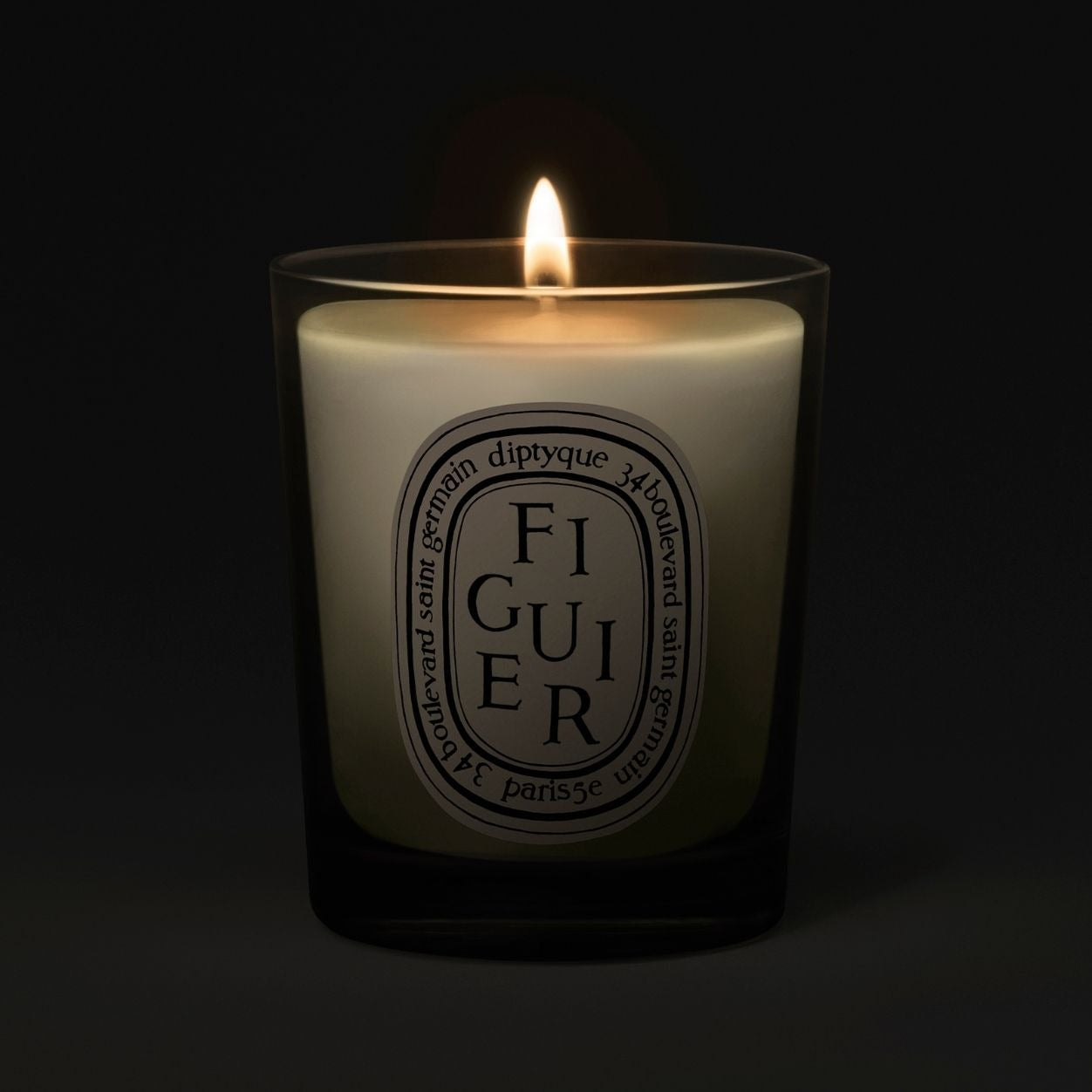 Figuier (Fig Tree) Candle