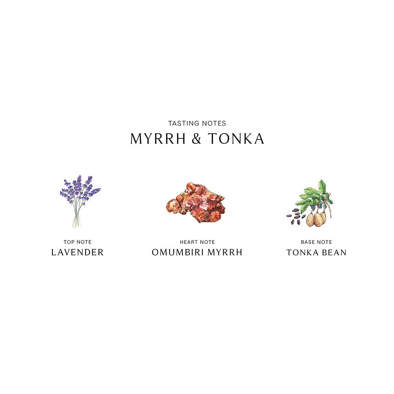 Myrrh and Tonka Diffuser