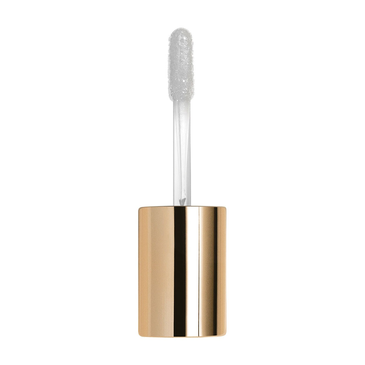 Le Phyto Gloss