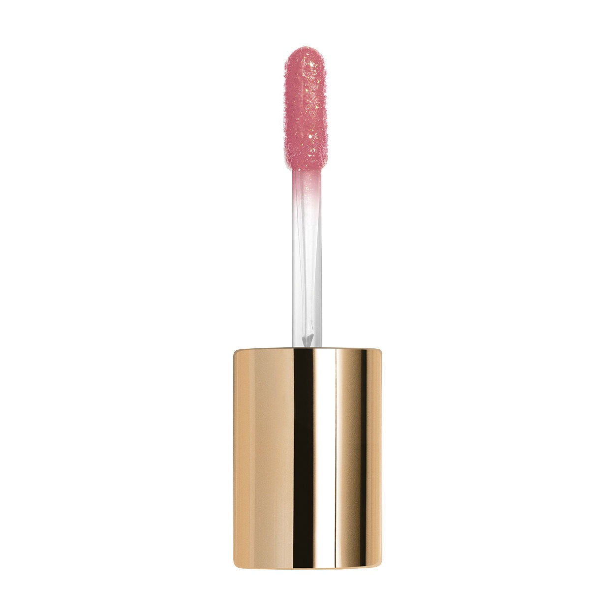 Le Phyto Gloss