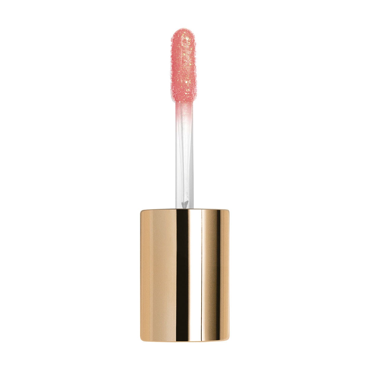 Le Phyto Gloss
