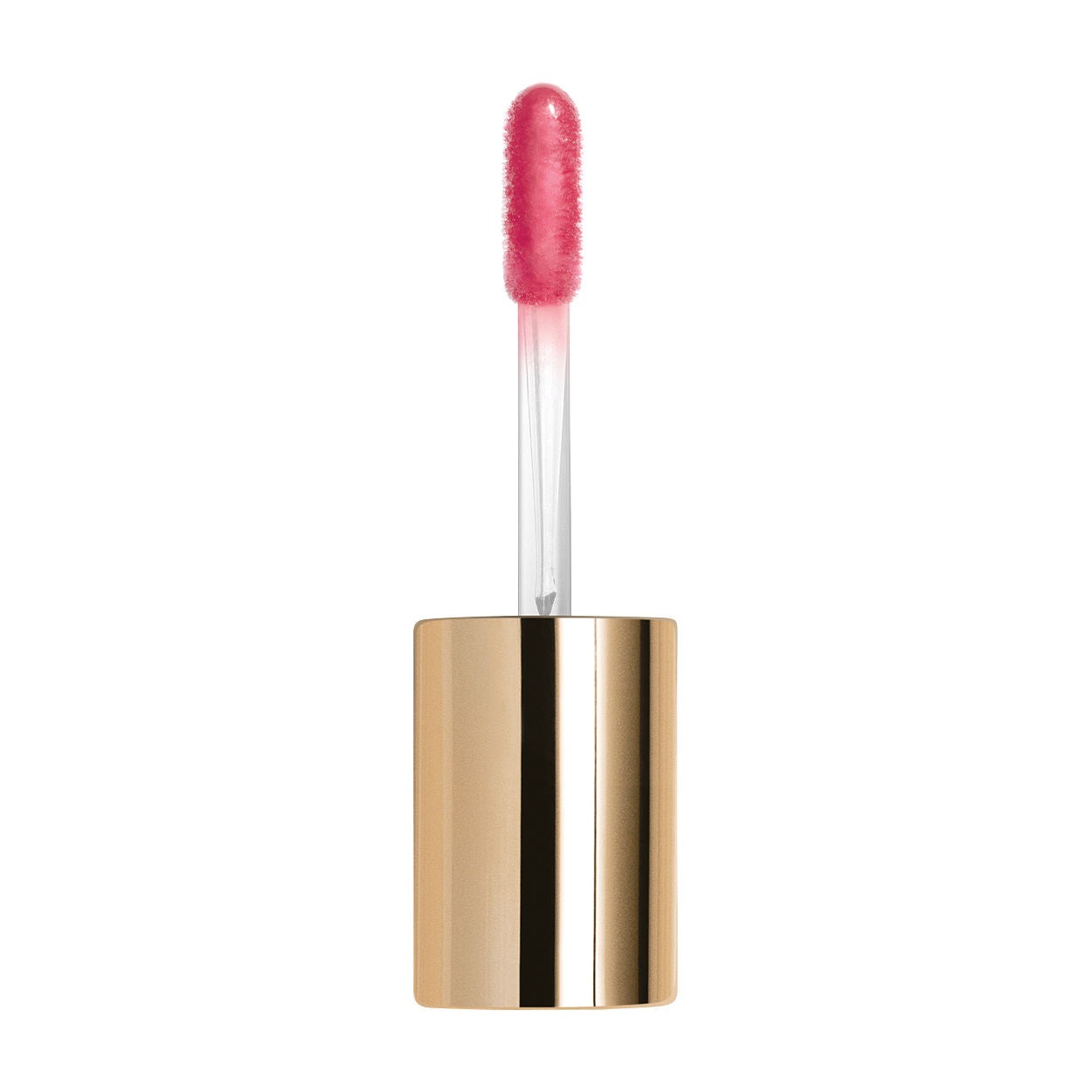 Le Phyto Gloss