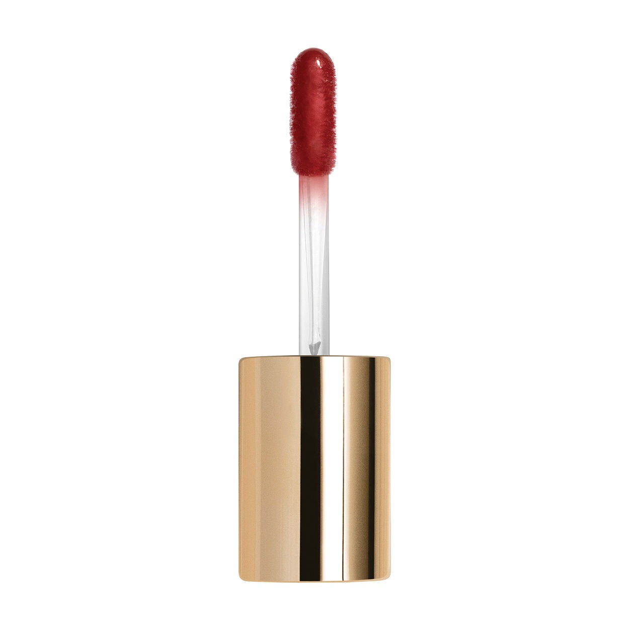 Le Phyto Gloss