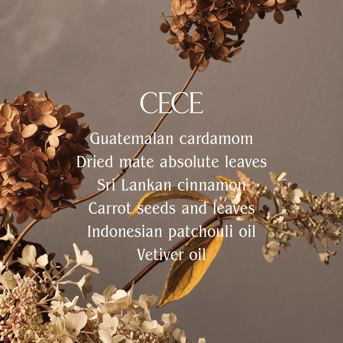 Cece Exfoliating Hand Wash