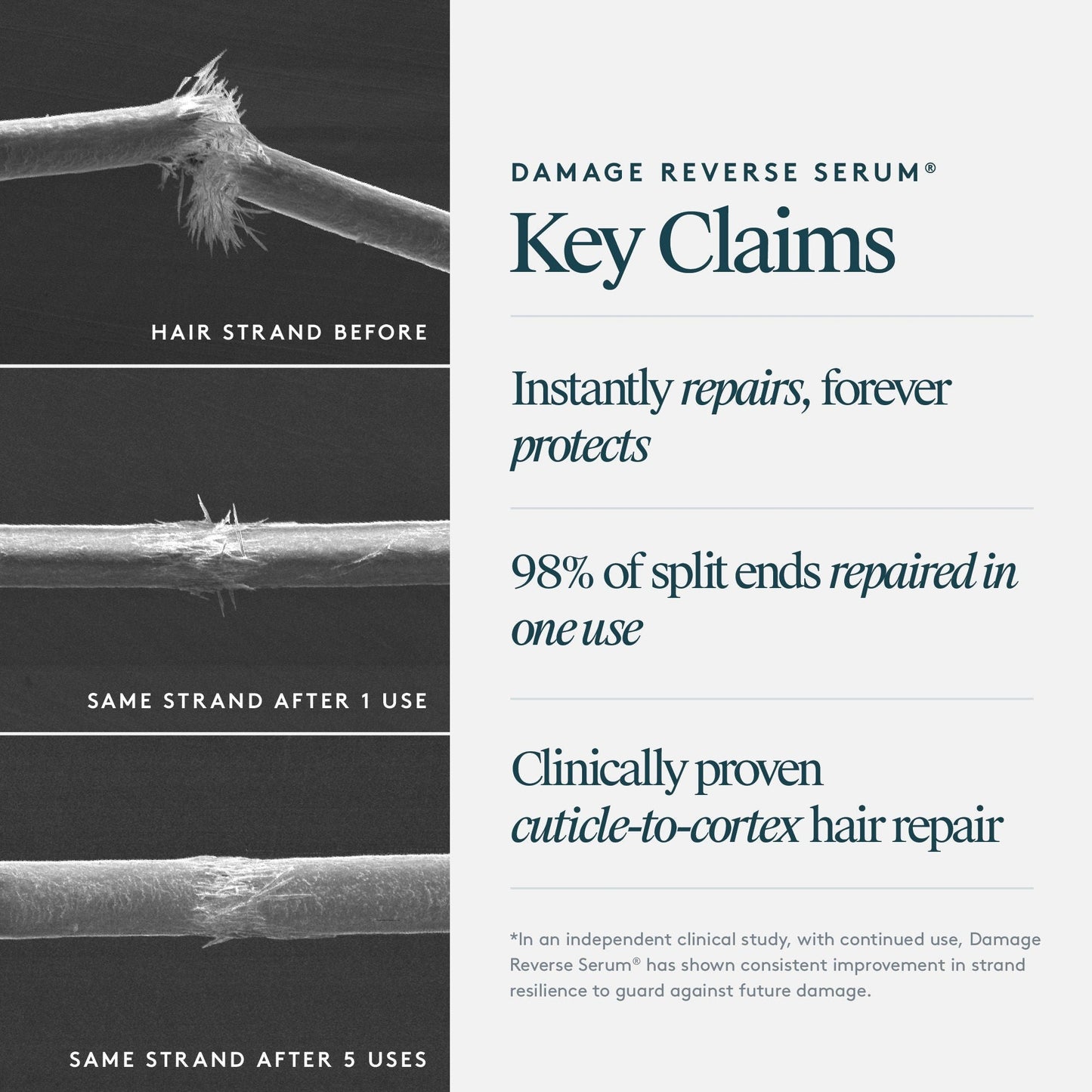 Damage Reverse Serum