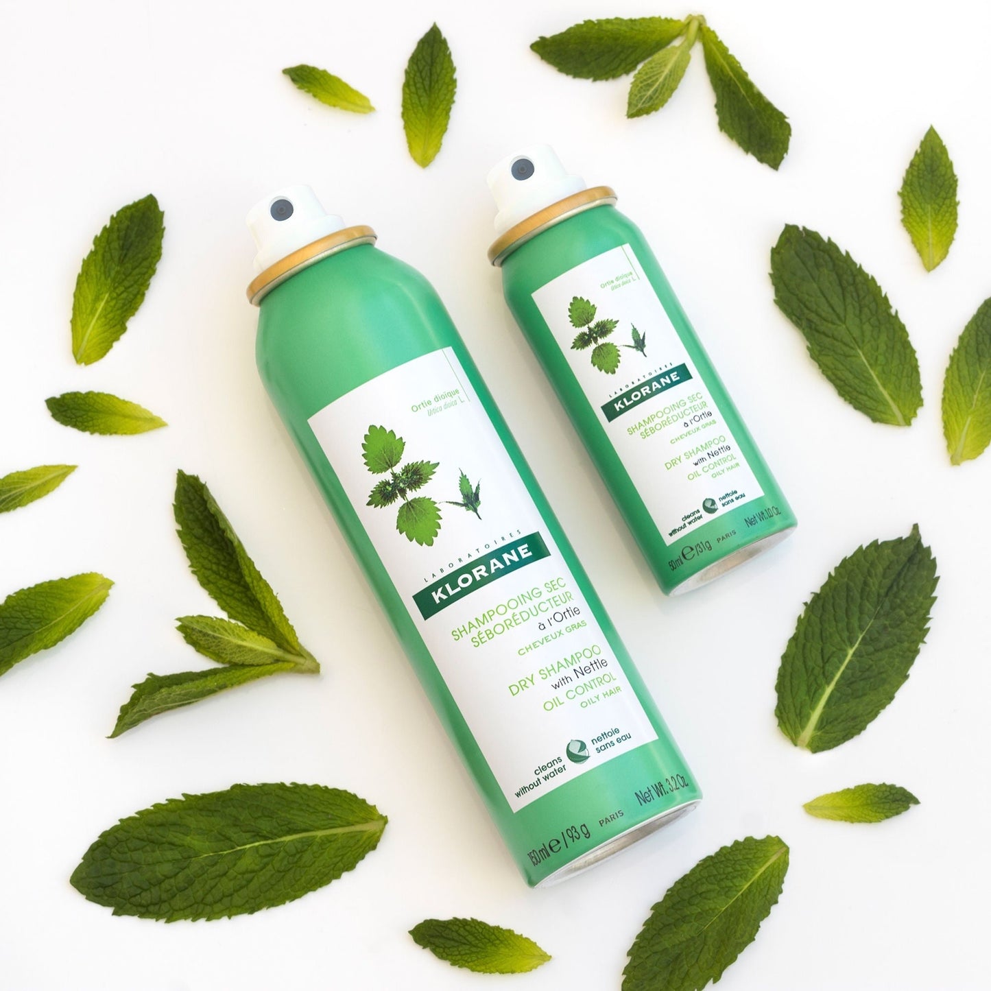 Dry Shampoo With Nettle