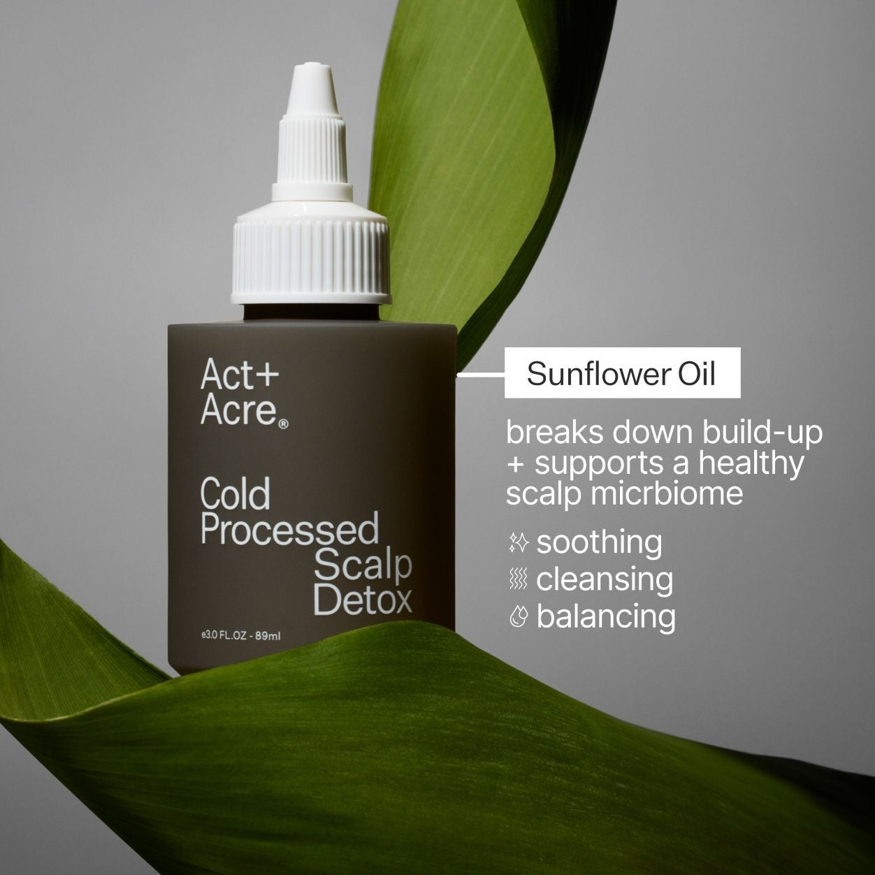 Cold Processed Scalp Detox