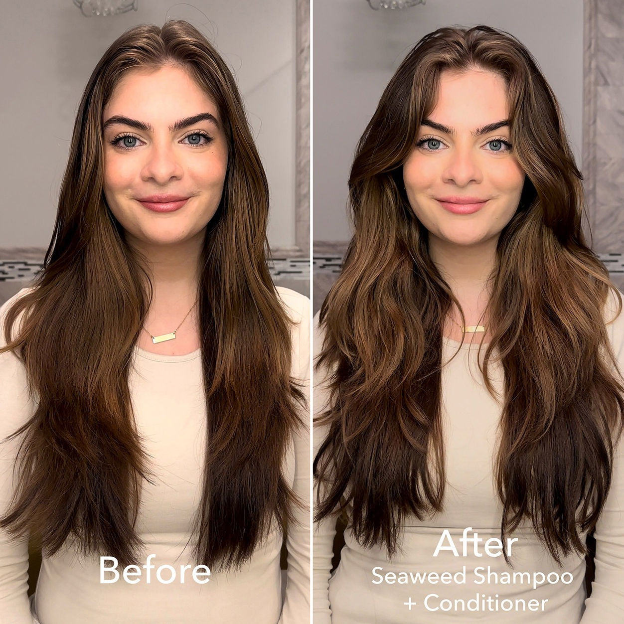 Seaweed Conditioner