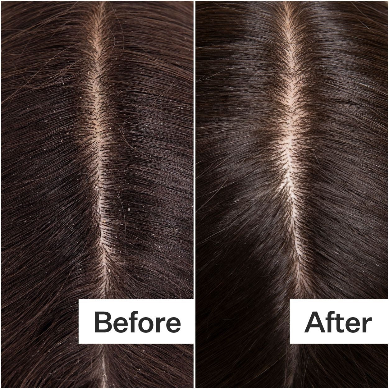 Cold Processed Hair Cleanse Shampoo