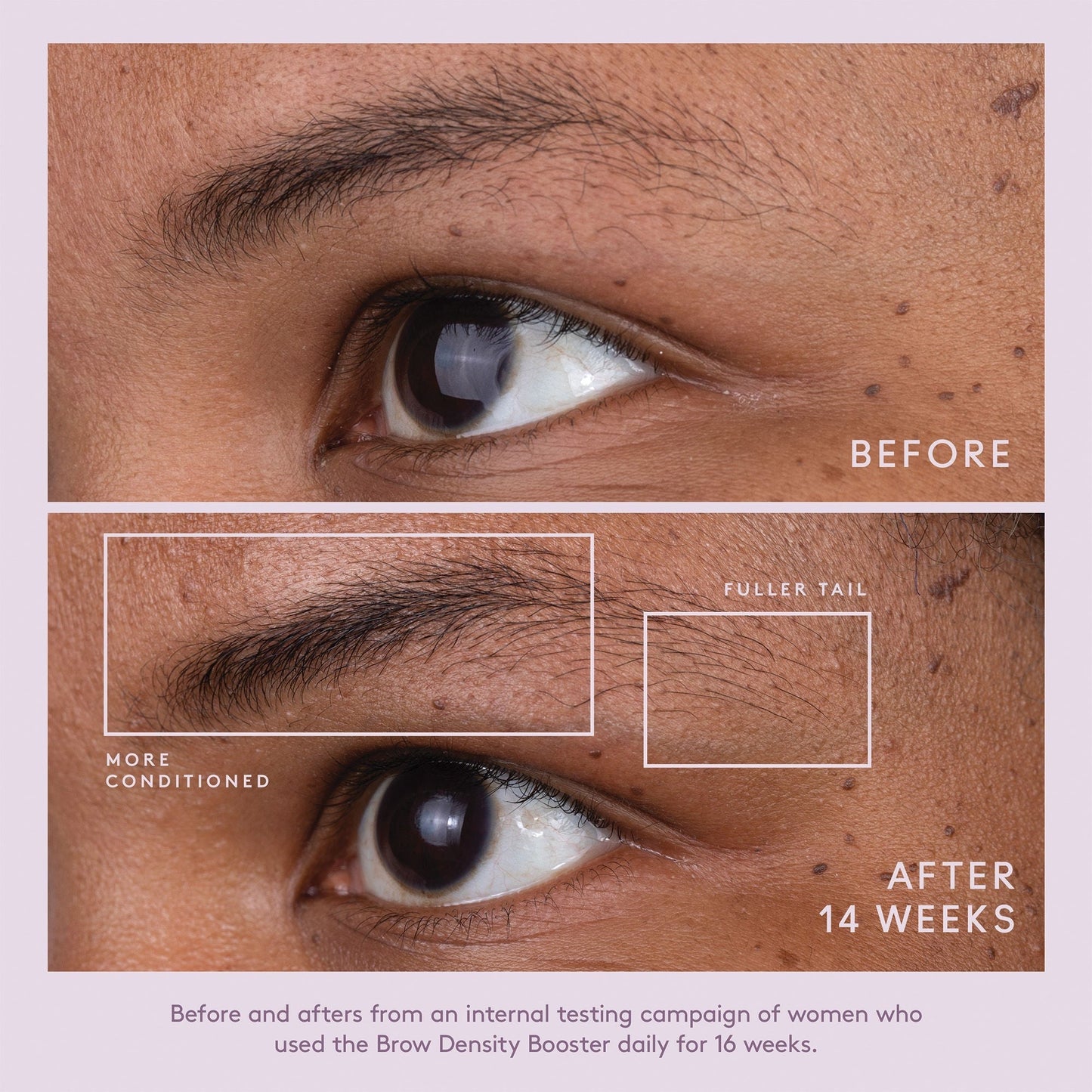 Flourish Brow Density Booster