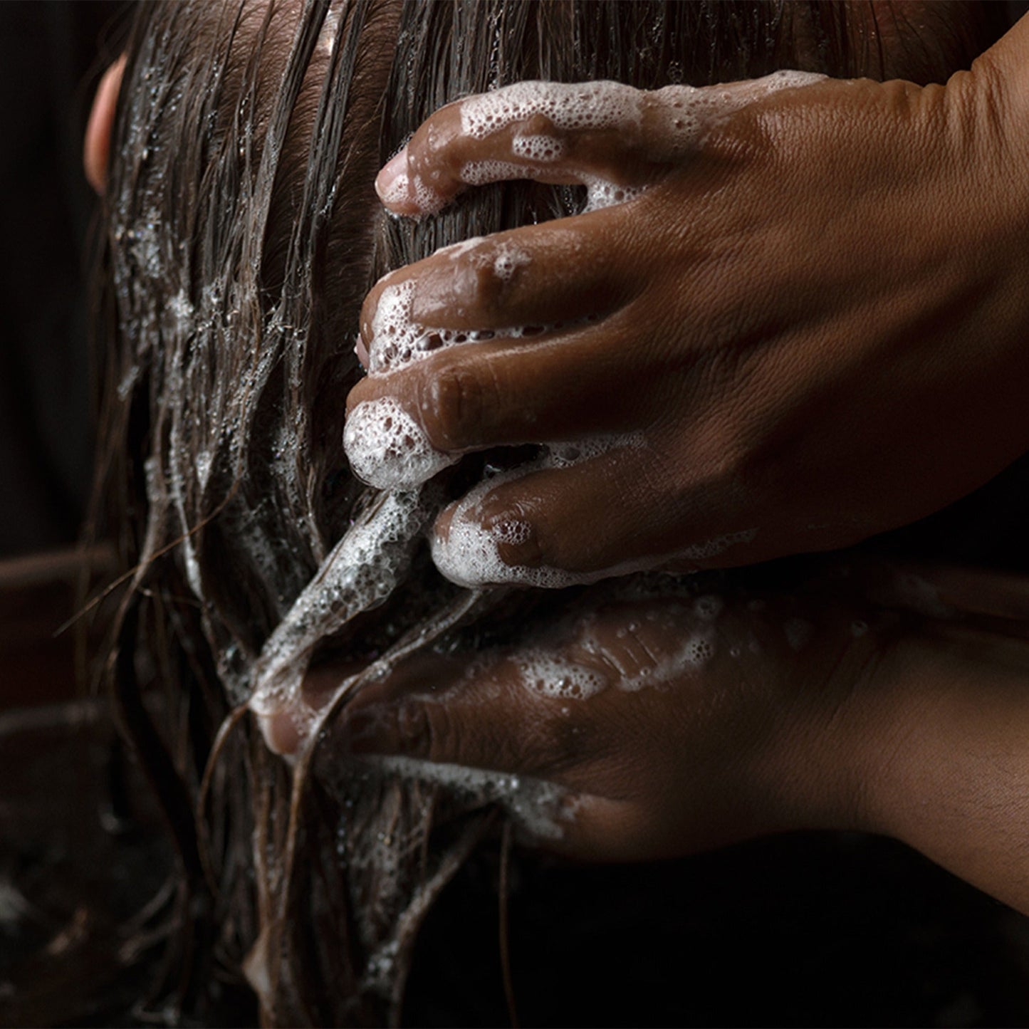 Shampoo