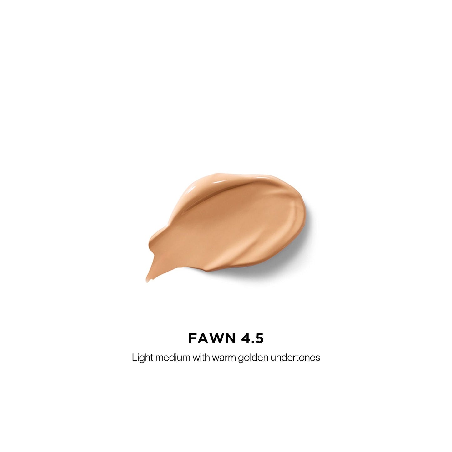 Vanish Airbrush Concealer