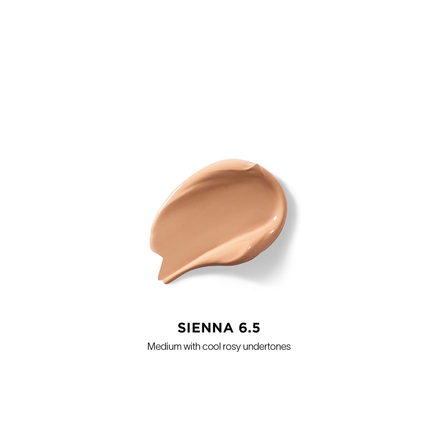 Vanish Airbrush Concealer