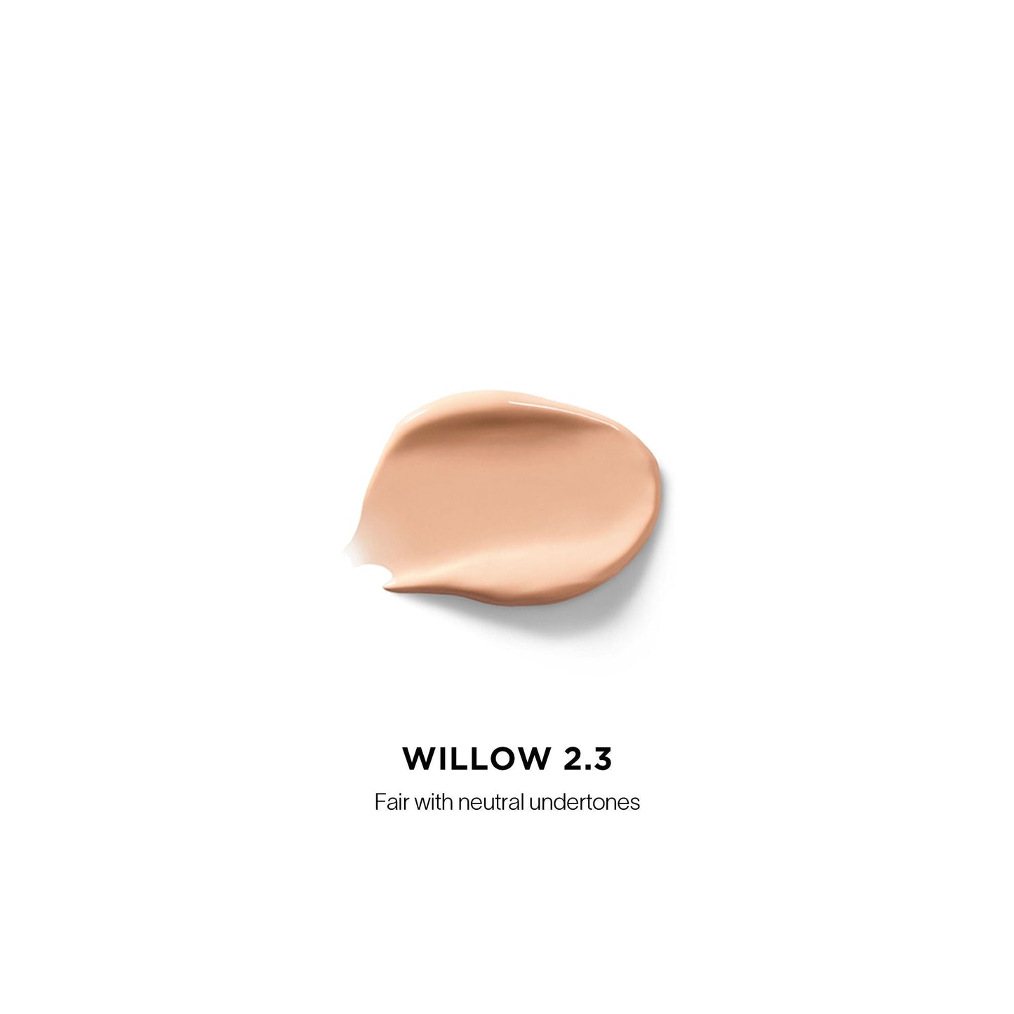 Vanish Airbrush Concealer