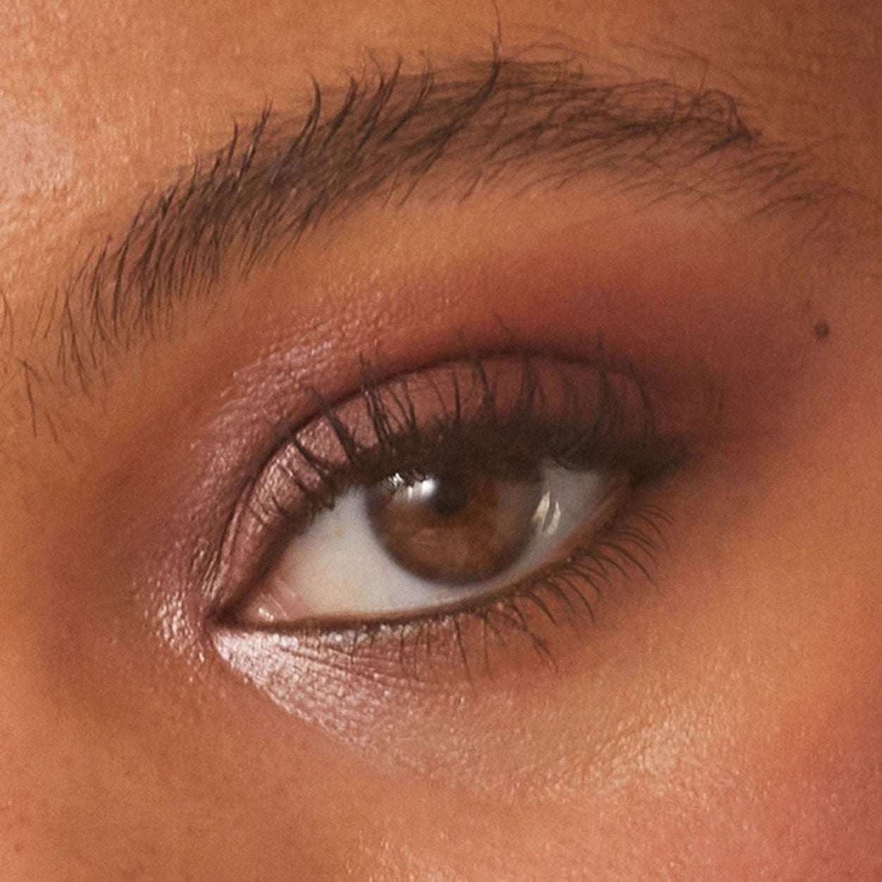 Pretty Shady Pressed Pigment Trio