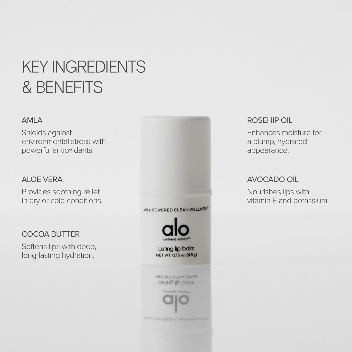 Lasting Lip Balm