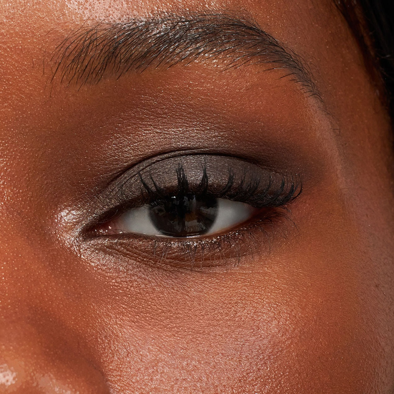 Pretty Shady Pressed Pigment