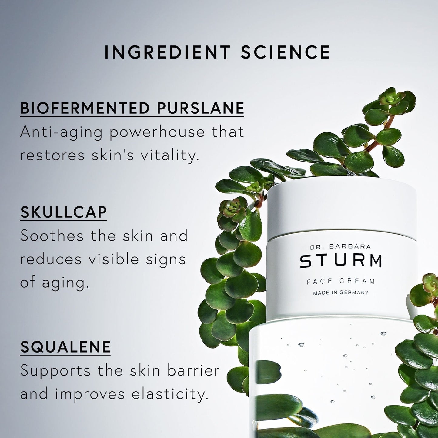Face Cream