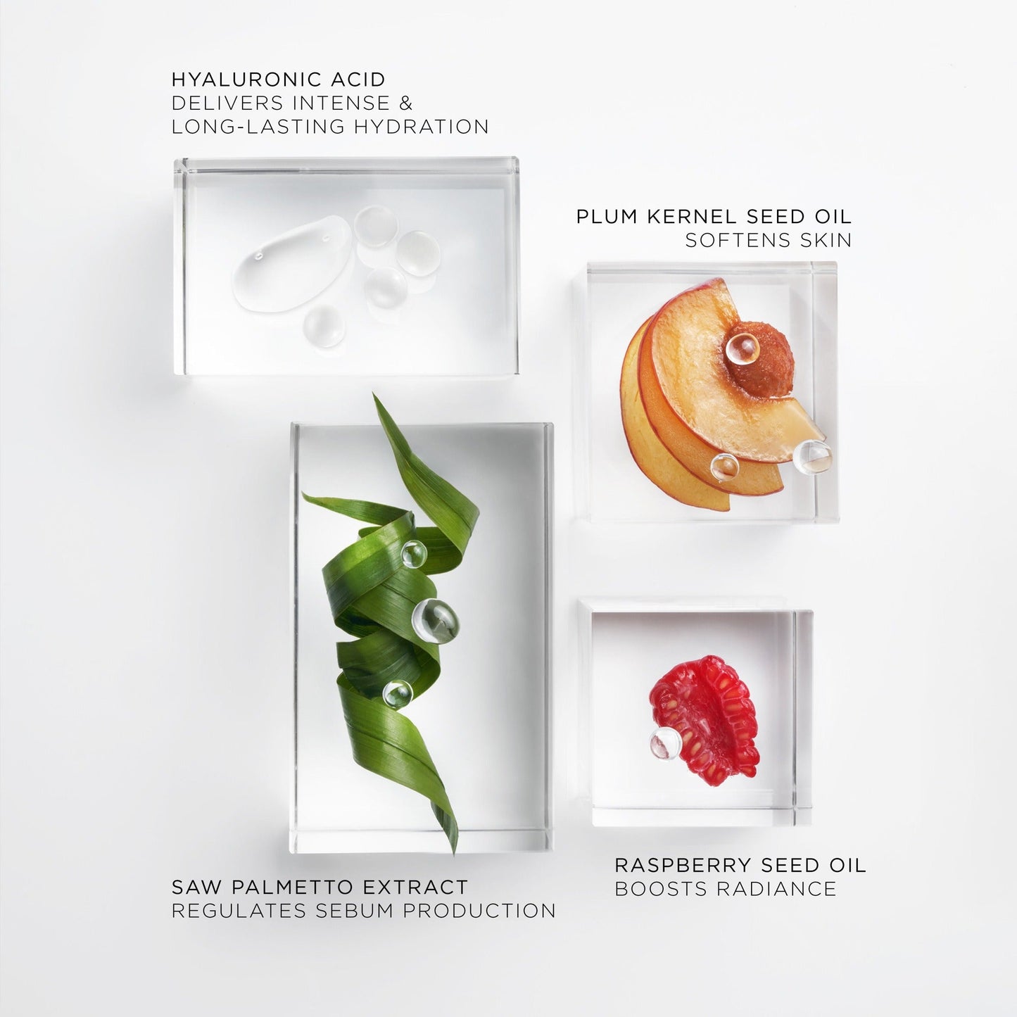 The Brilliant Glow Hydration Oil