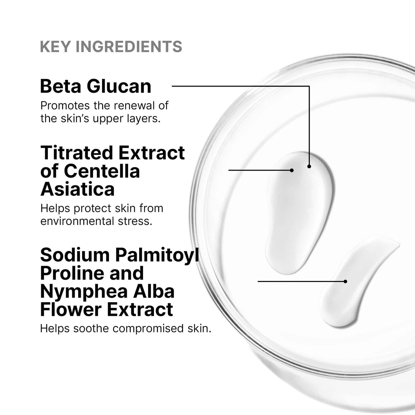 Epidermal Repair