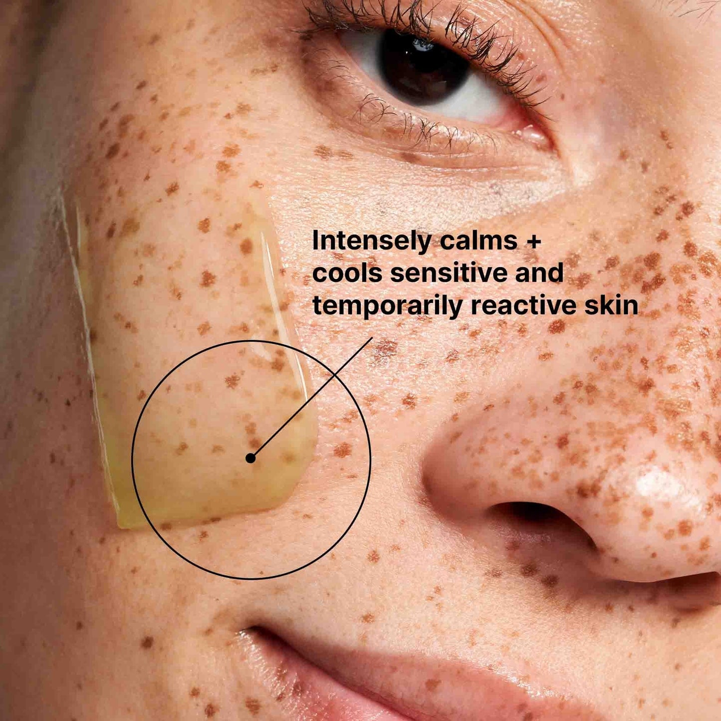Phyto Corrective Masque