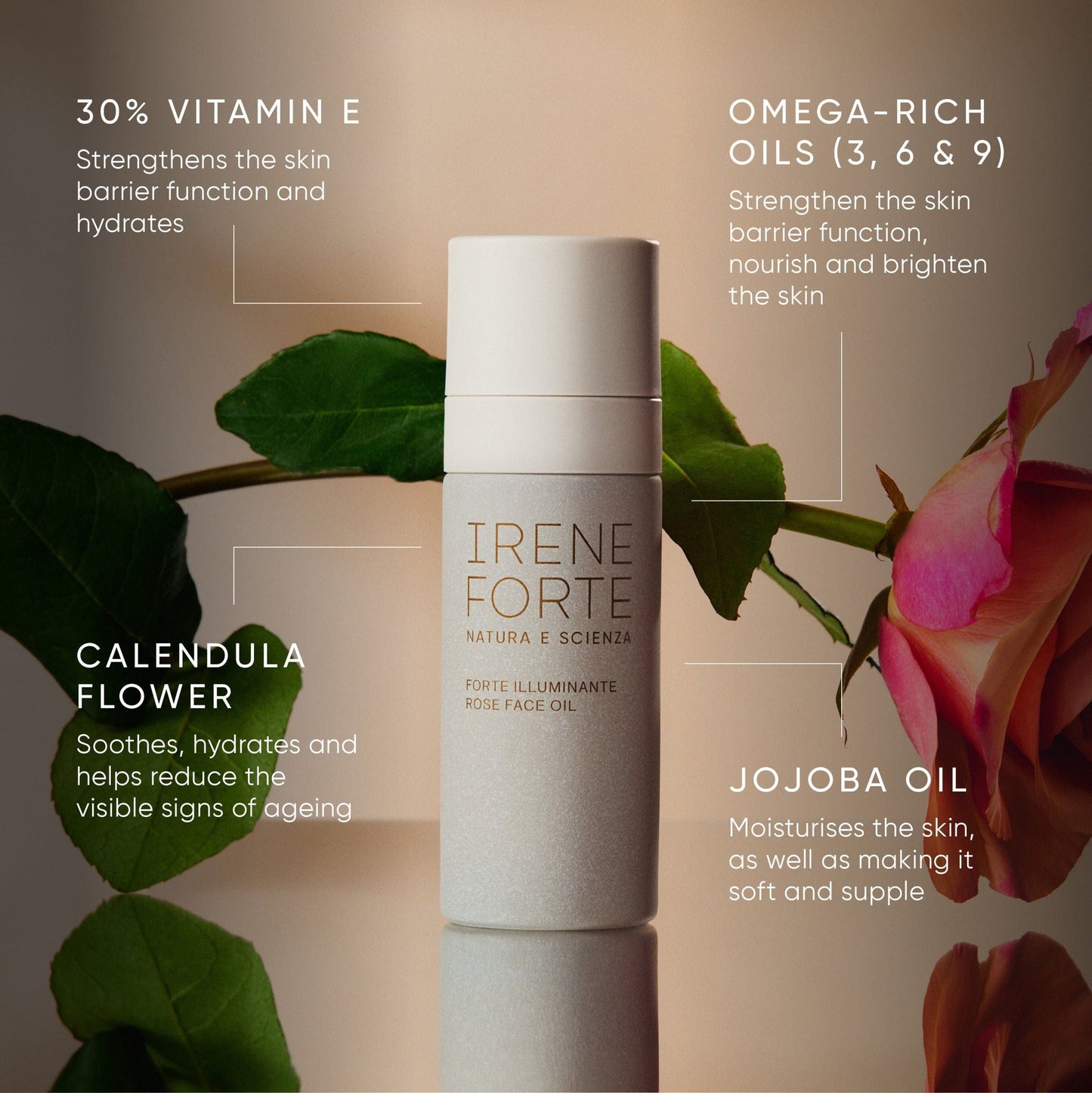Rose Face Oil