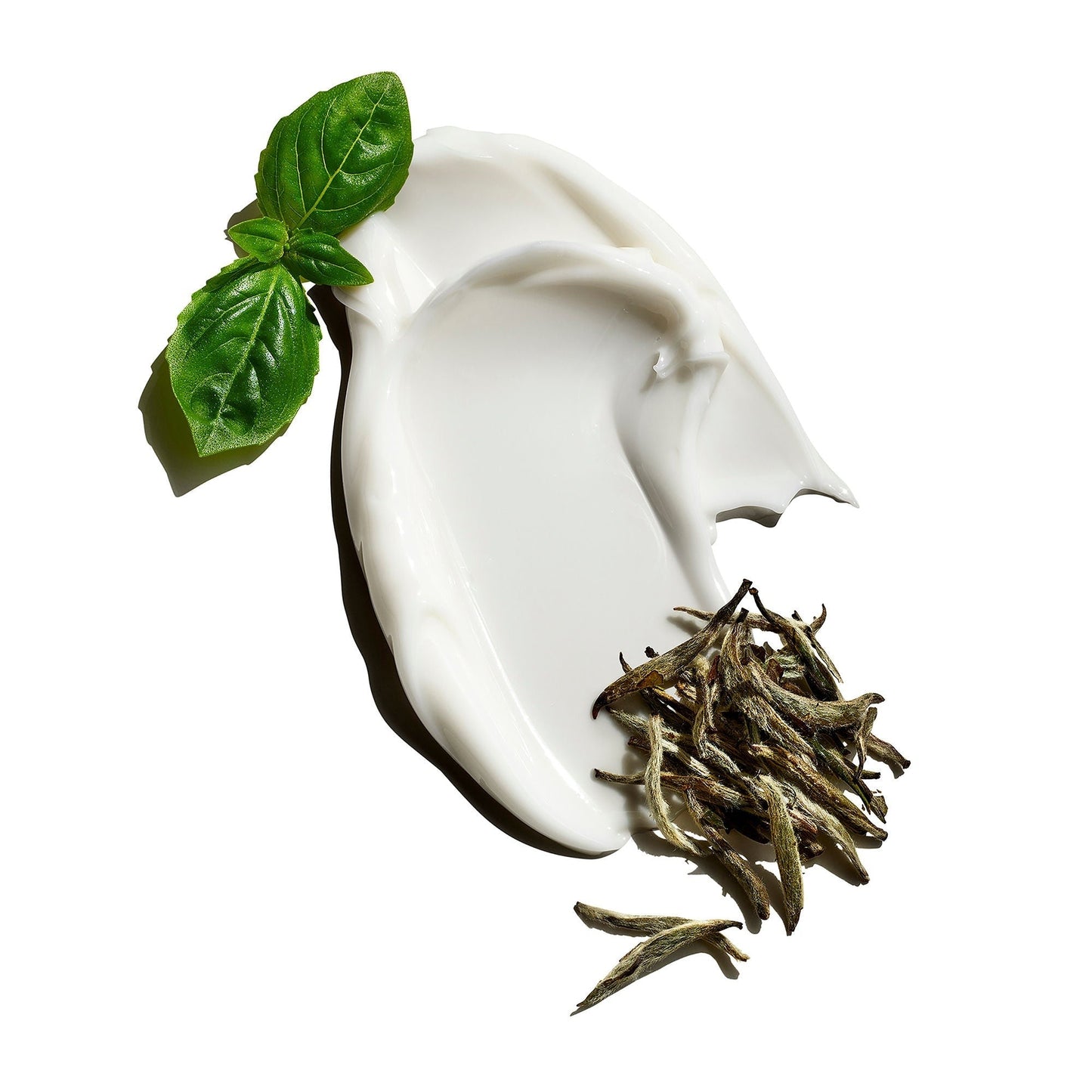 Clean Break Oil Free Moisturizer