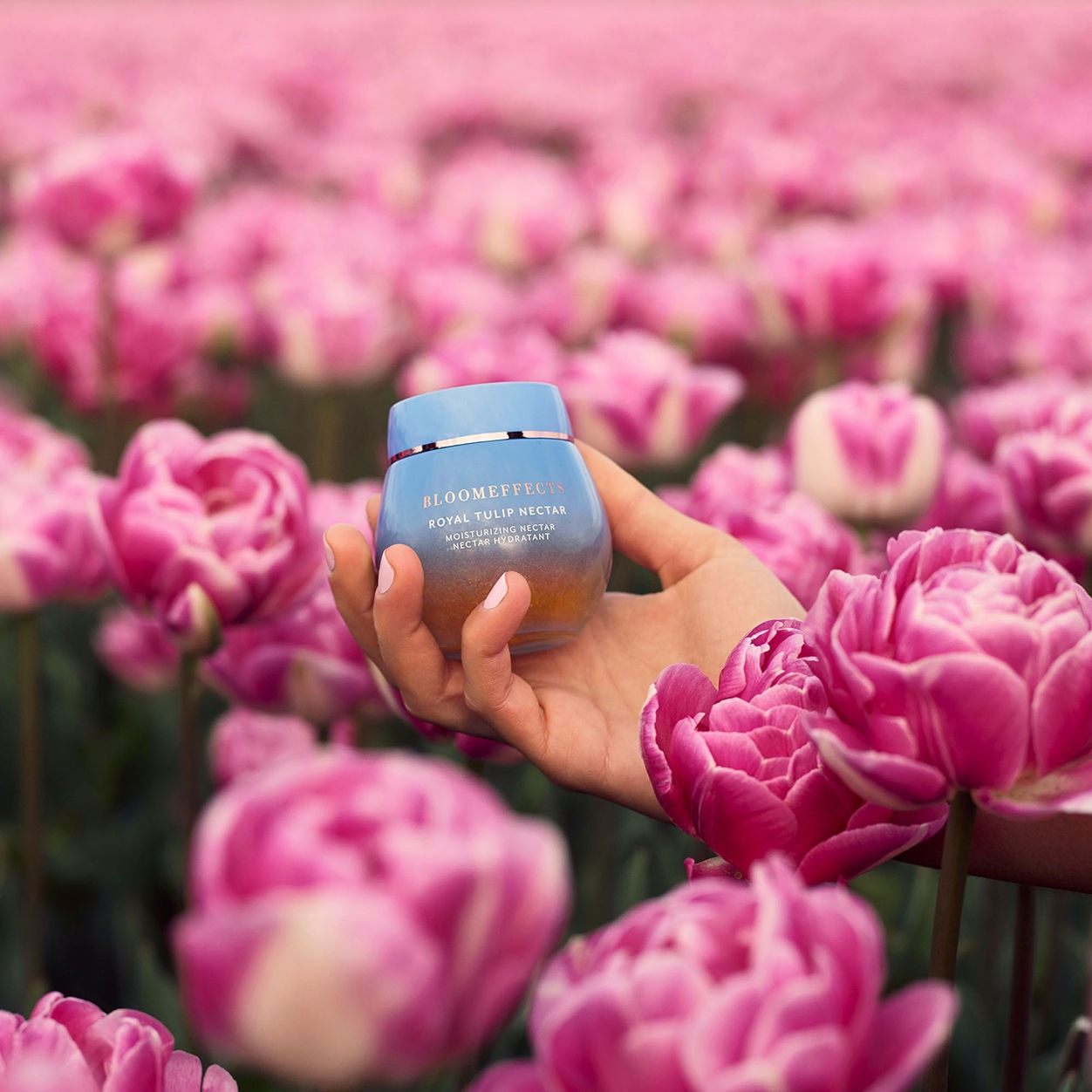 Royal Tulip Nectar